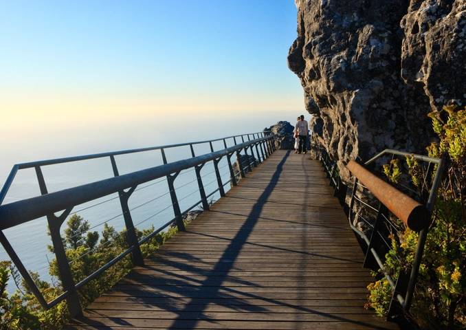  South Africa 