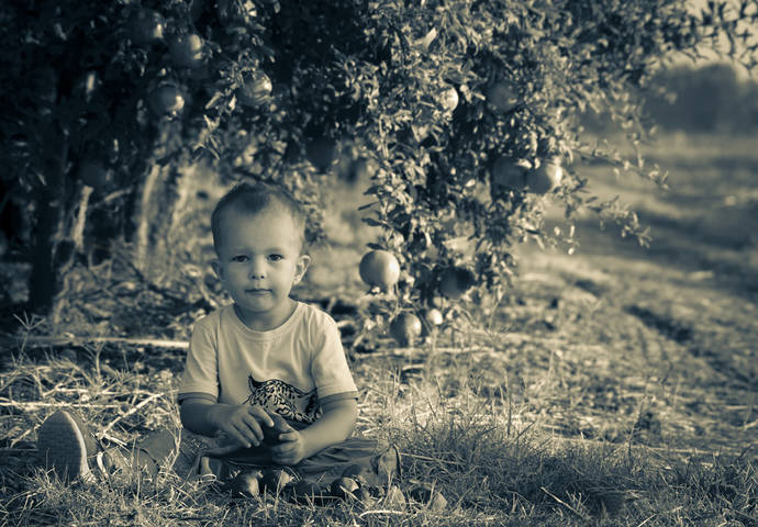 Return To Innocence