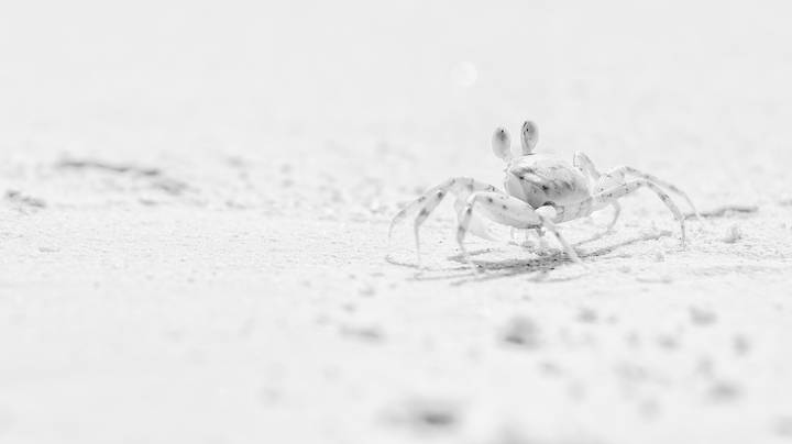# 2