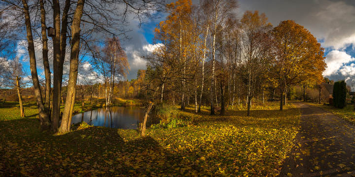 autumn