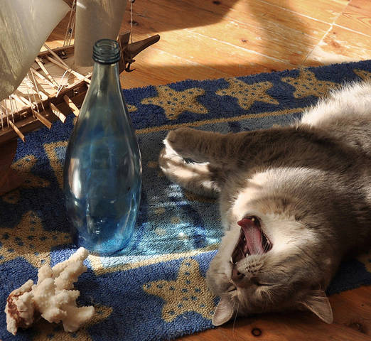 Песни моря