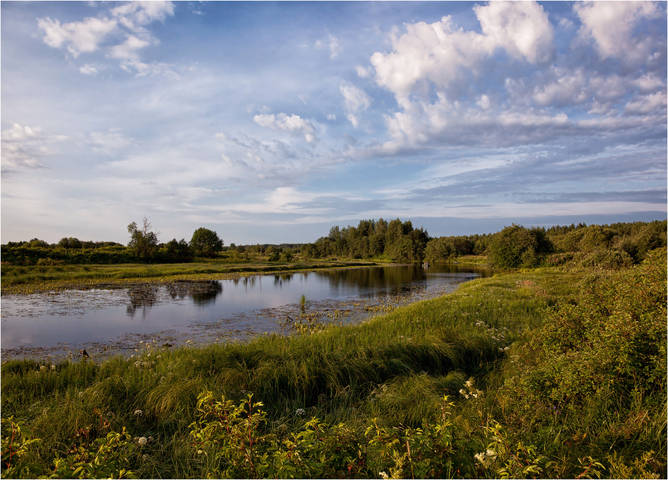 В утренний час