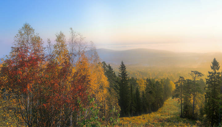 Утро туманное