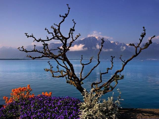 Switzerland
