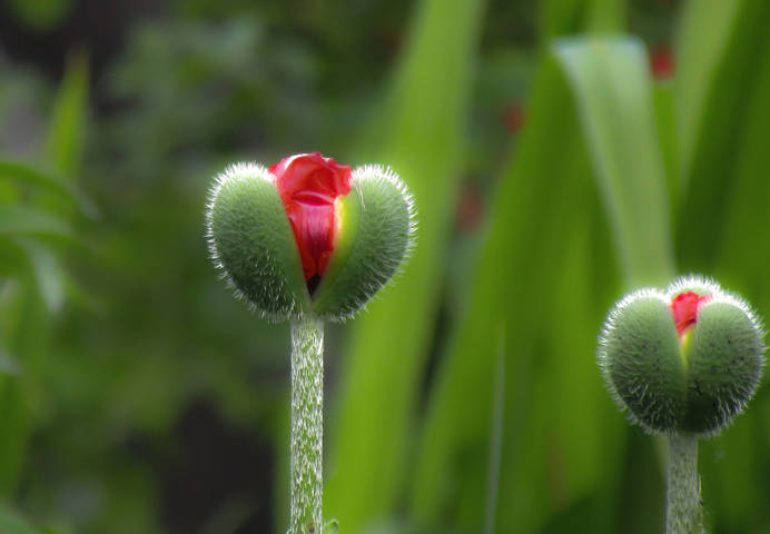 Весеннее