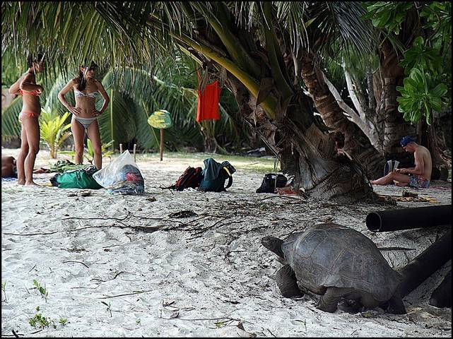 Seychelles