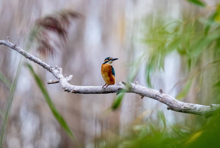 # 2