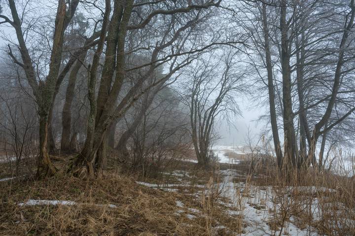 Морок