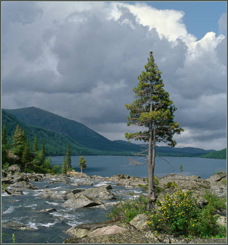 Перекат Шумы