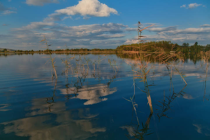в августе
