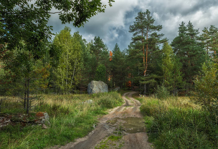 Дорога в осень.