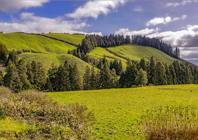 Azores 2018 Sao Miguel 38