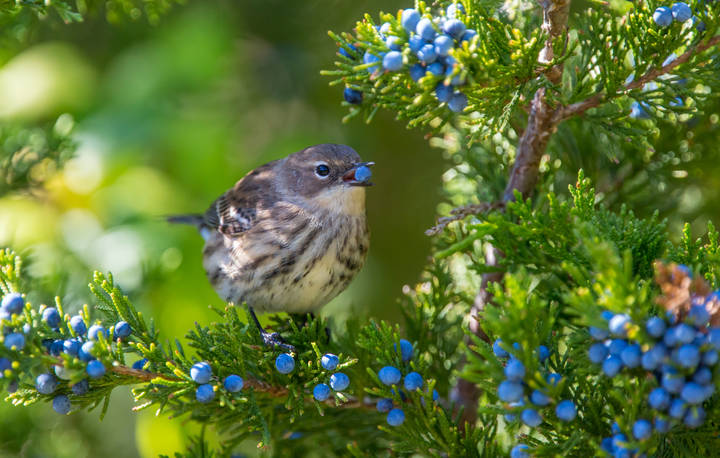 # 2