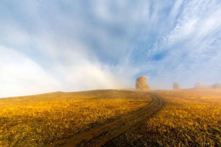 Дорога в осень