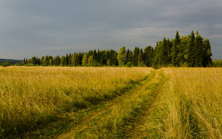 Первые краски осени