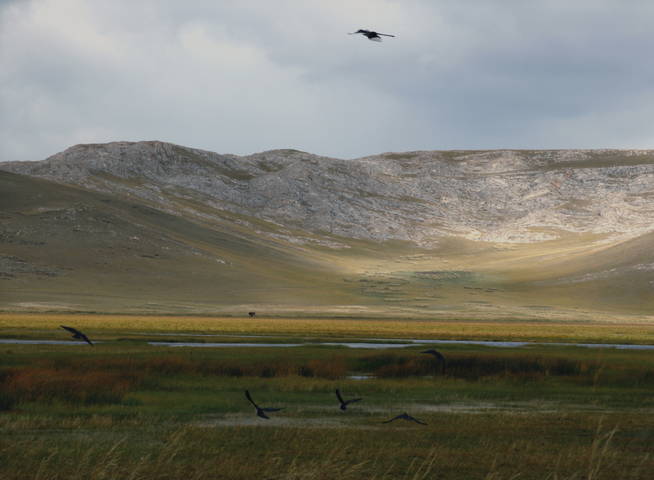 Осенние мотивы 