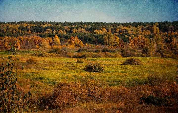 Осенний пейзаж