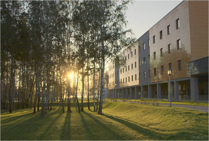 утро в городе