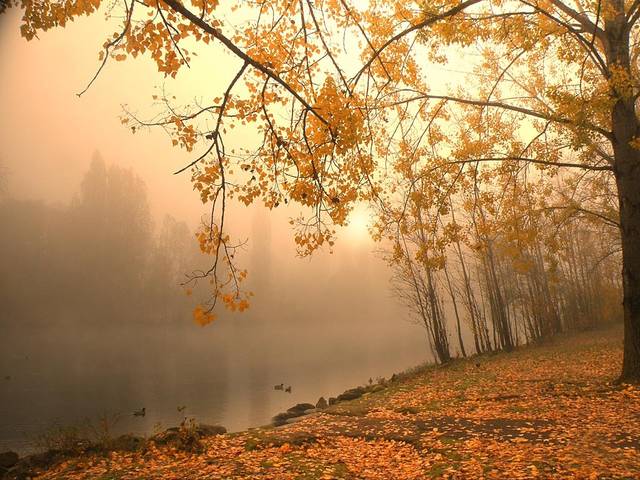 осенний берег