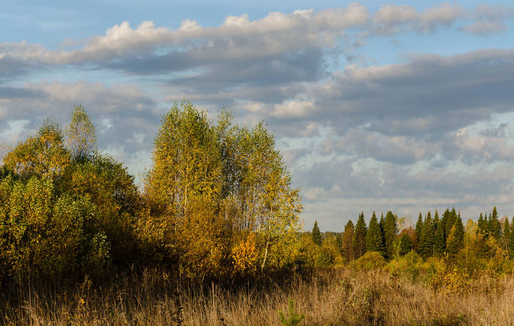 Сентябрь