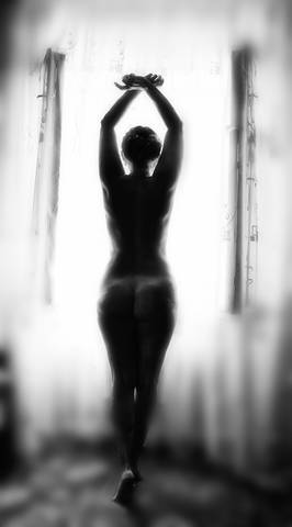 morning silhouette