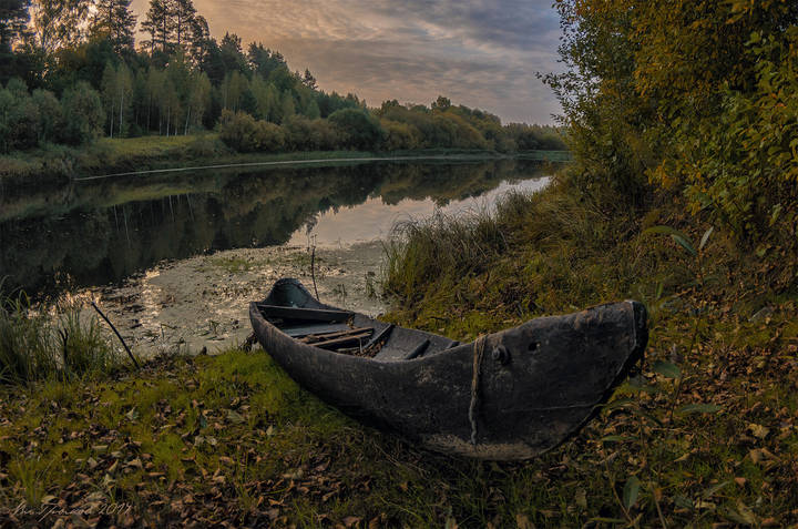 Одинокий ботник