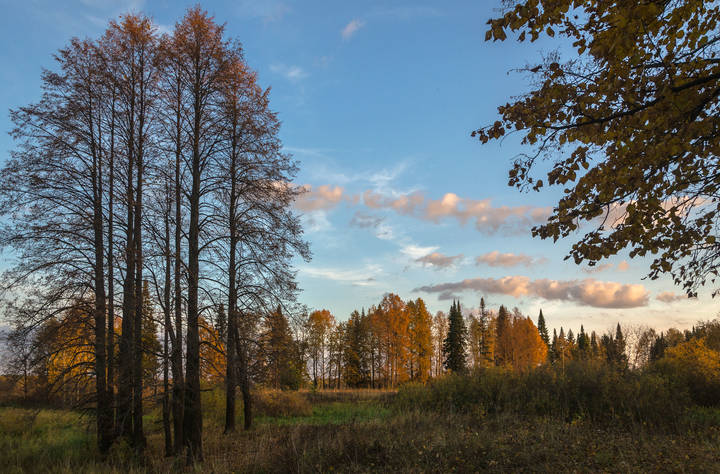 Краски осеннего утра