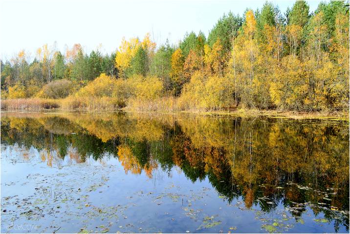 отражения осени