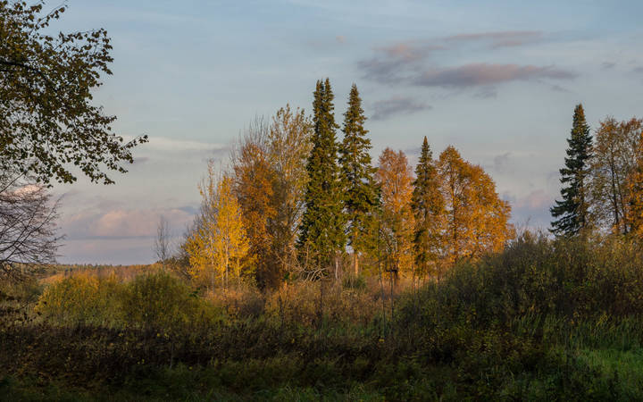Осенний этюд