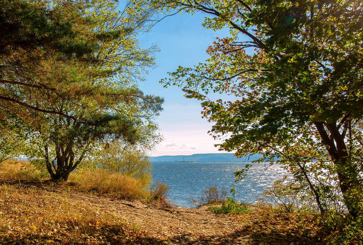 Прогулки в осень
