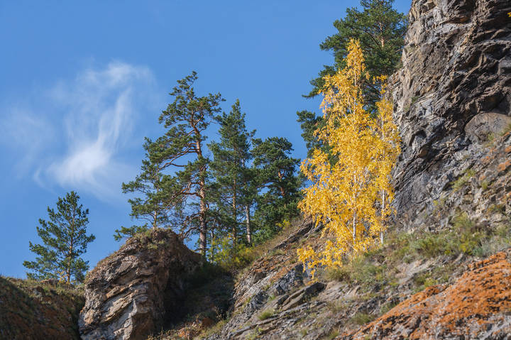 Осень