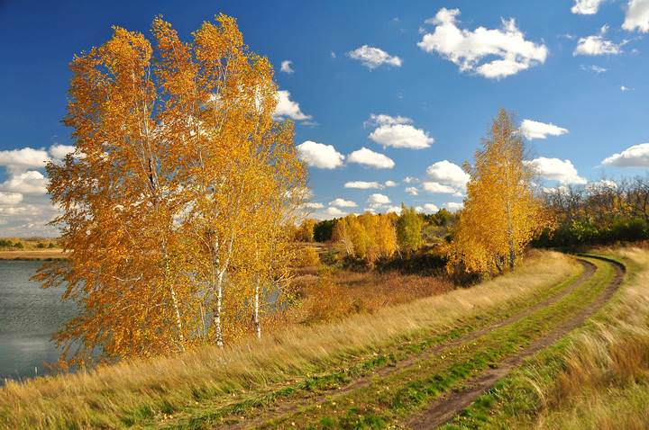 Солнечная осень