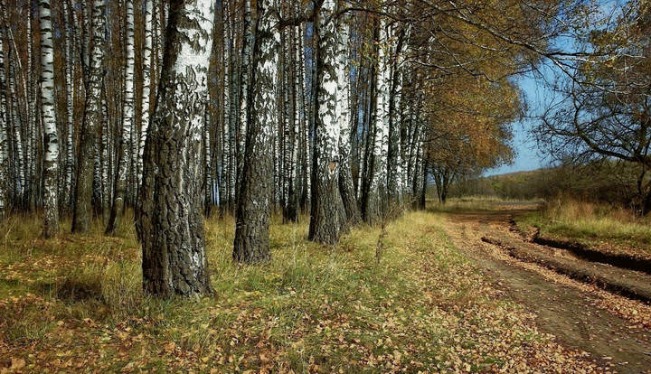 Шёпот ласкающий, солнцем согретый...