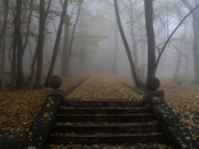 В старом парке.... 