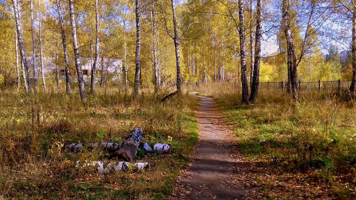 Золотая осень .