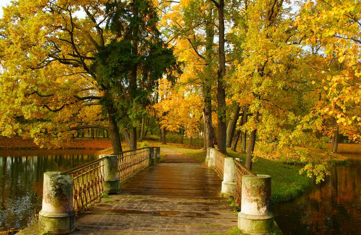 В парке...