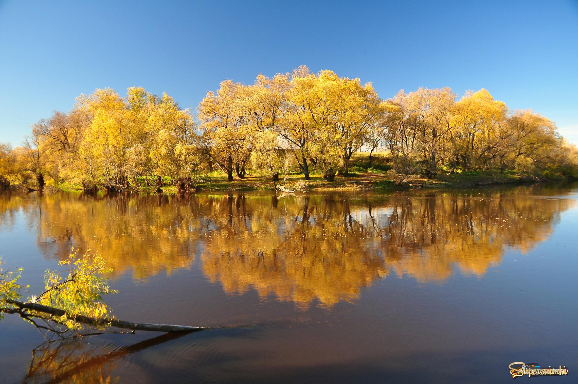 Погода в золотой омской. Река Омь в Калачинске. Берег реки Омь осенью. Река Омь пейзаж Омская область. Омск Золотая осень.