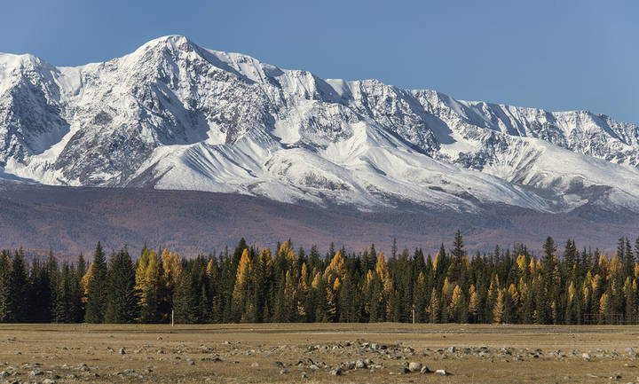Курайская степь