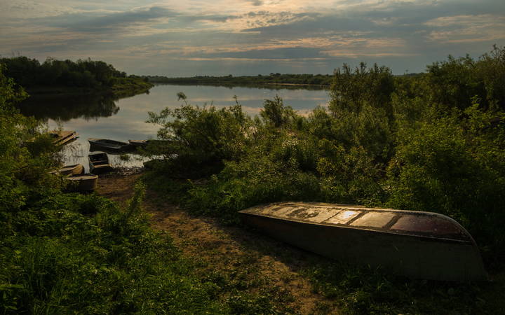 Летнее утро