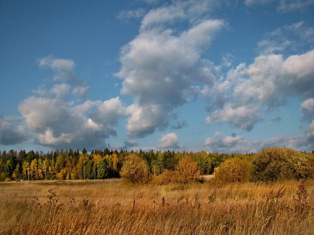 Лёгкие облака