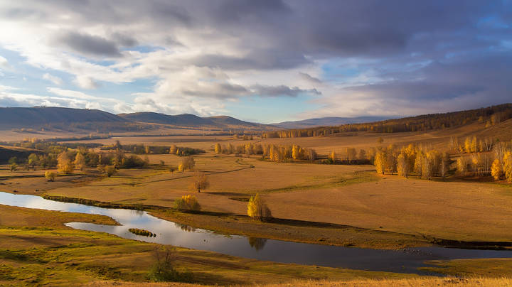 Край одиноких березок