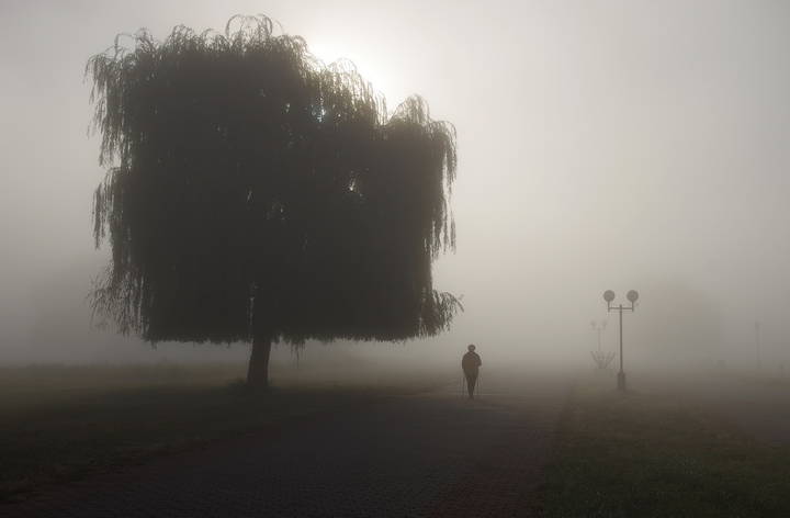 The fog