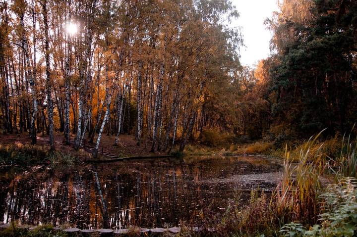 Краски осени 