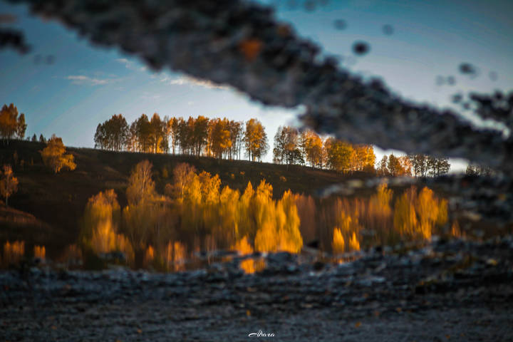 Осень рисует в лужах