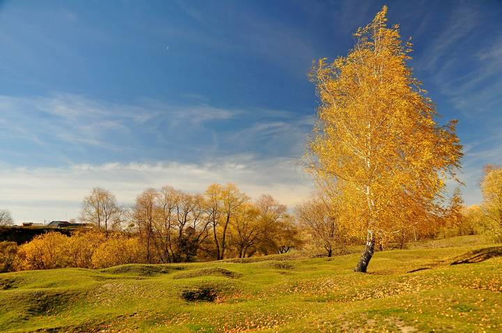 Золотая осень