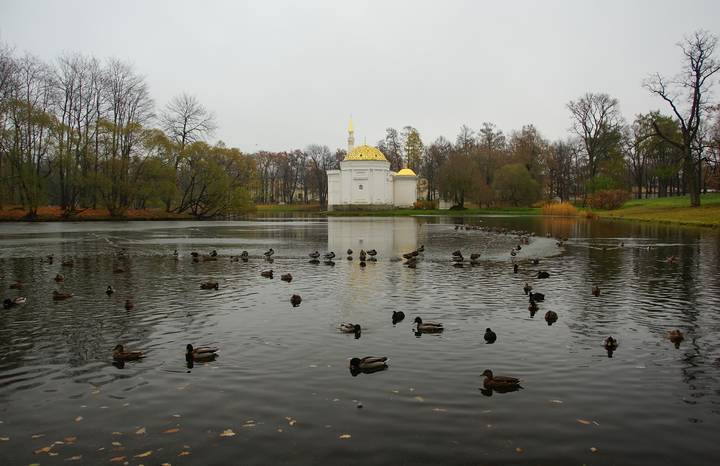 Осень...