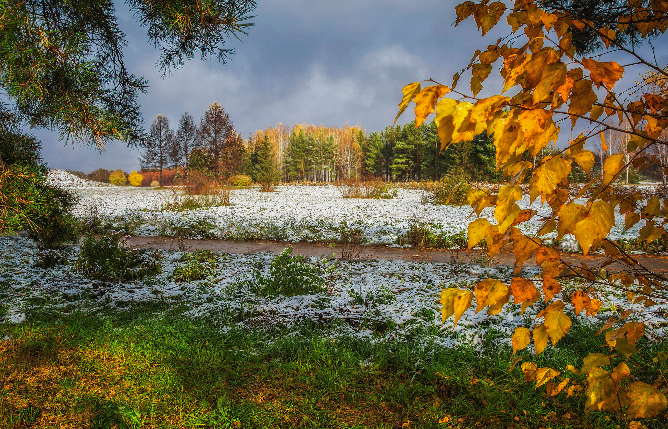Поздняя осень и наступление зимы. Поздняя осень. Ноябрь природа. Ноябрьский пейзаж. Первый снег.