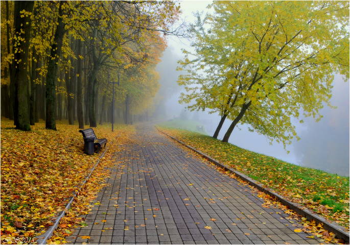 осенняя аллея