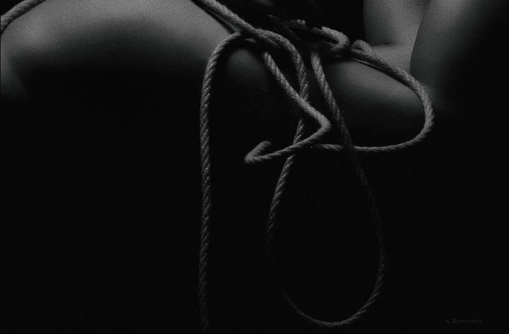 Composition to create a still life. (winter period). I am looking for a body.