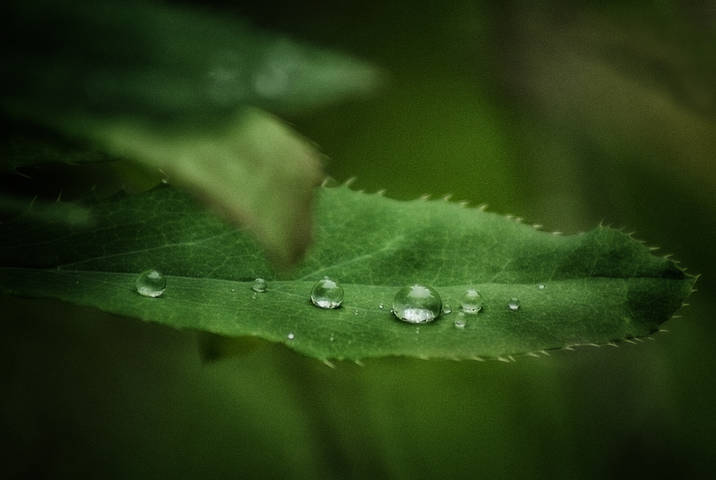 drop